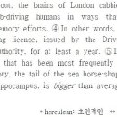 은천동-35 이미지