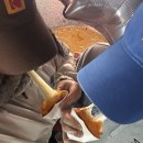 철길따라공원 | 경남 축제 | 2026 진해 군항제 | 벚꽃축제 N 회차의 군항제 방문 후기