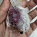 나아라 동물병원 이미지