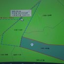 금강송행정사사무소 이미지