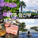 인이스테이 | 1-2일차 | 미노르블랑 6월 수국, 서귀포 숙소 추천 담앤루리조트 흐노니 패밀리룸, 꺼멍목장 흑돼지 후기