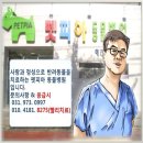 펫피아 동물병원 이미지