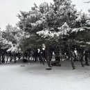 작은천사어린이집 이미지