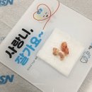 분당세란치과의원 | [분당 야탑 치과 추천] 고난이도 매복사랑니 발치한 후기