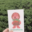 그린농장(GREEN) 이미지