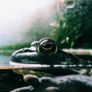 순천향대학병원 버스정류소 이미지