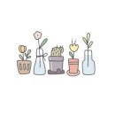 벨라시타약국 이미지