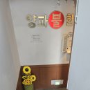 양파불한증막 이미지