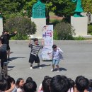 완도초등학교 티스토리
