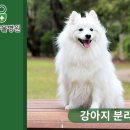 클로버 동물병원 이미지