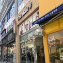 세종헤어샵 - 유성구 | 세종 아름동 미용실 유목민 정착! 펌 안 나오는 머리도 성공한 더헤어샵 후기