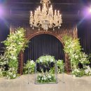 웨스턴베니비스 이미지