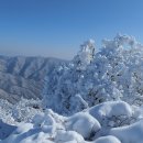오대산 눈꽃산행 안내 &amp; 신청 이미지