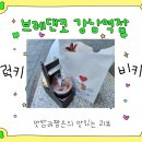 브레댄코강남 이미지