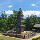 칠곡 송림사 오층전탑 | 보물 제 189호 칠곡 송림사 오층전탑