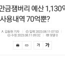 잼버리 예산 1130억 중 사용내역은 70억 이미지