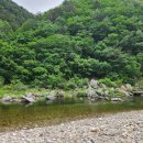 왕피리들꽃하우스 이미지