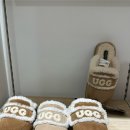(주)코니텍 | 12월 시드니 날씨 + 쇼핑리스트 어그익스프레스 어그구매후기 (UGG Express / The UGG Shop)