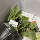 두리조경 이미지