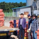 남면서부여농협주유소 | 참깨‧들깨 산지 ‘남면농협’… 이제는 ‘황토 양파’로 전국 최고 거듭난다