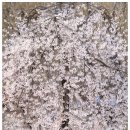 안양예술공원내 공영주차장 이미지