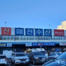 르노삼성자동차서비스코너 매천점 | 대구 매천시장 신화수산 대게와 홍게, 감성돔 대방어 솔직후기 (가격과 분위기 공유)