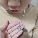 공룡광택 - 제주시 신광로8길 25-1 | 미아방지 목걸이 고민 끝에 선택한 925 하우스 공룡 목걸이 후기