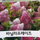 정가네농원 네이버블로그