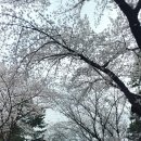 남부권 코스 이미지