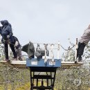 장수읍안양마을로 이미지