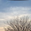 공삼이삼 - 장수군 | 공삼이삼