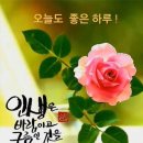 사랑으로 이미지