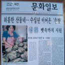 낙산냉면 이미지