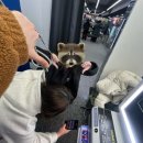 뽑아가으리 이미지