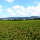 고구려대학교 이미지