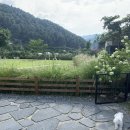 애프터눈가든 이미지