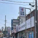 복음약국 | 진주 점, 기미 제거 후기 | 금산복음의원 시술 솔직 후기