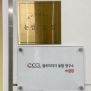 수원-0732 네이버블로그