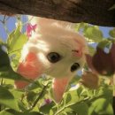 피카소동물병원 이미지