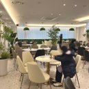 아리아리정선 주엽점 이미지