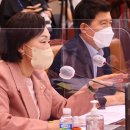 동일 태양광발전소 이미지