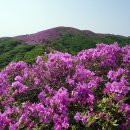 용추계곡입구 주차장 이미지