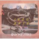 체인지펫샵 이미지