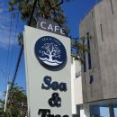 [카페추천] 부산 기장 일광 카페 씨앤트리(SEA&amp;TREE)