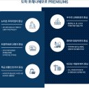 도마네거리 이미지