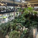 경춘대로 | 경춘당 2층 경춘스시 후기