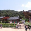 전등사로 초지로 이미지