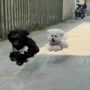 나자바바라 이미지