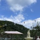 감성스케치B 이미지