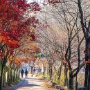 입곡군립공원(주차장옆) 이미지